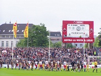 Pauli vs HSV2 05-06 017